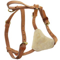 Leather Tracking Harness S610