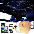 16W Twinkle Fiber Optic Star Ceiling Light Kit with APP Remote Music Mode RGBW LED 460pcs C6512