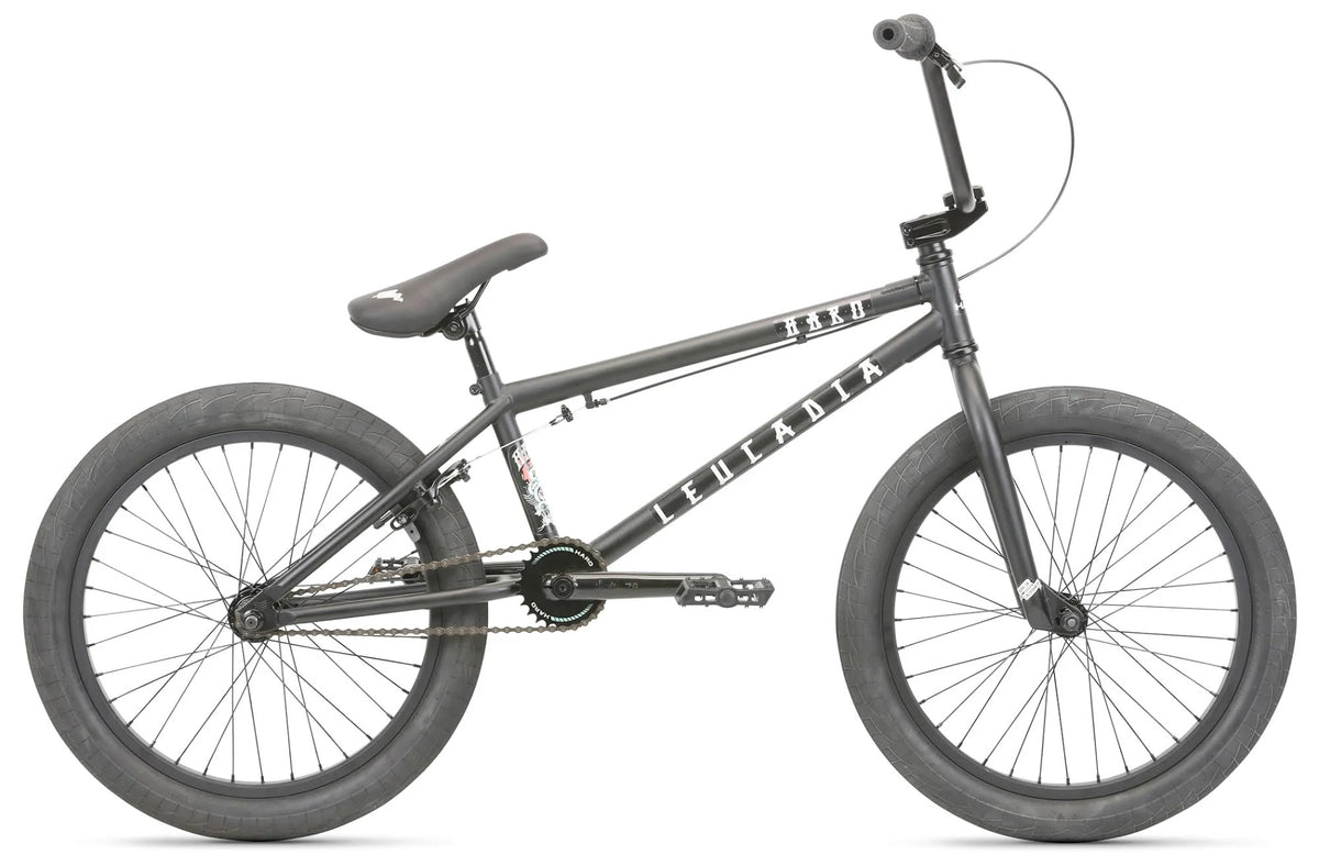 BMX Bike C100