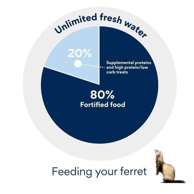 Ferret Soft Treats A406