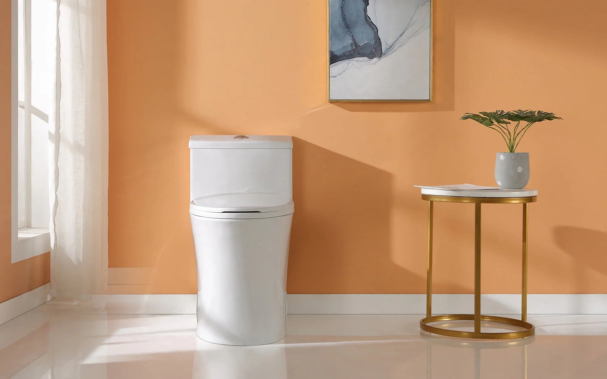 Elongated Dual Flush One Piece Toilet O8138