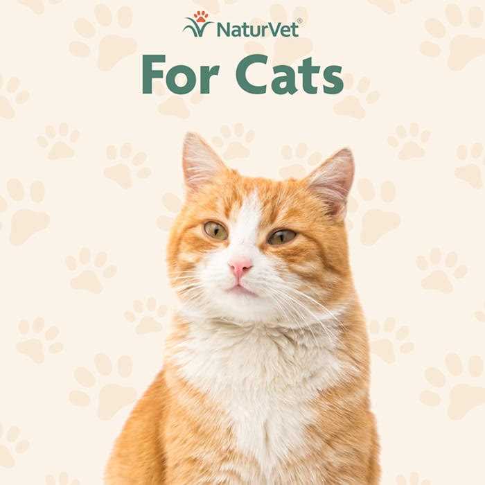 Skin & Coat Plus Omegas for Cats H71431