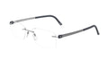 Titanium Slate Accent U56084