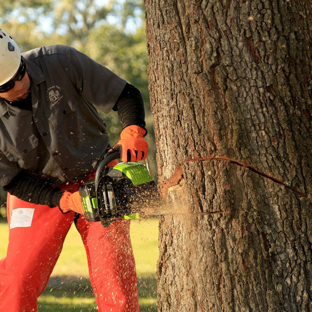 18-Inch 80V Cordless Lithium-Ion Chainsaw H6602
