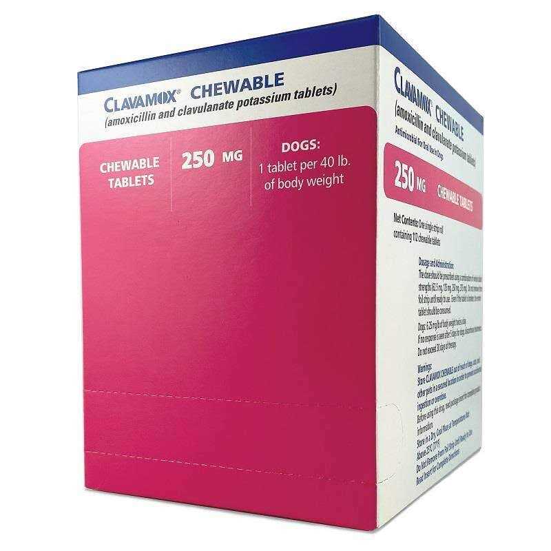 Chewable Pet Supplies T4684