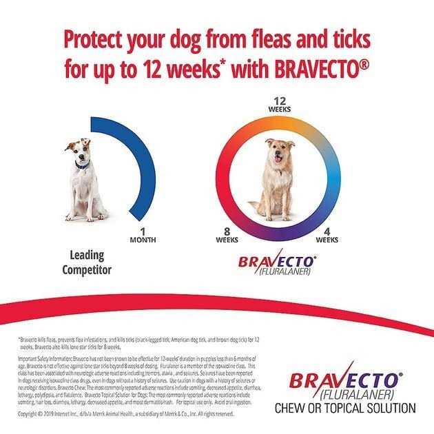 Bravecto Chews for Dogs D1469