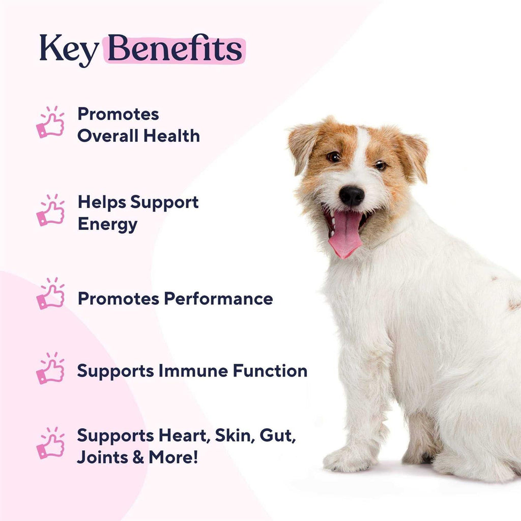 Multivitamin Chews M706111