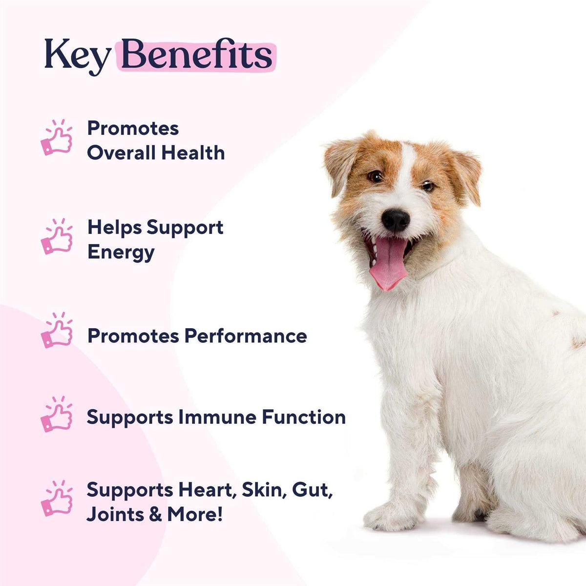 Multivitamin Chews M706111