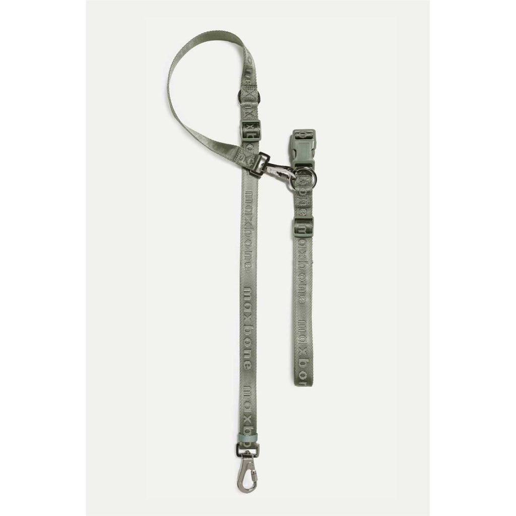 Hands Free Leash T3235