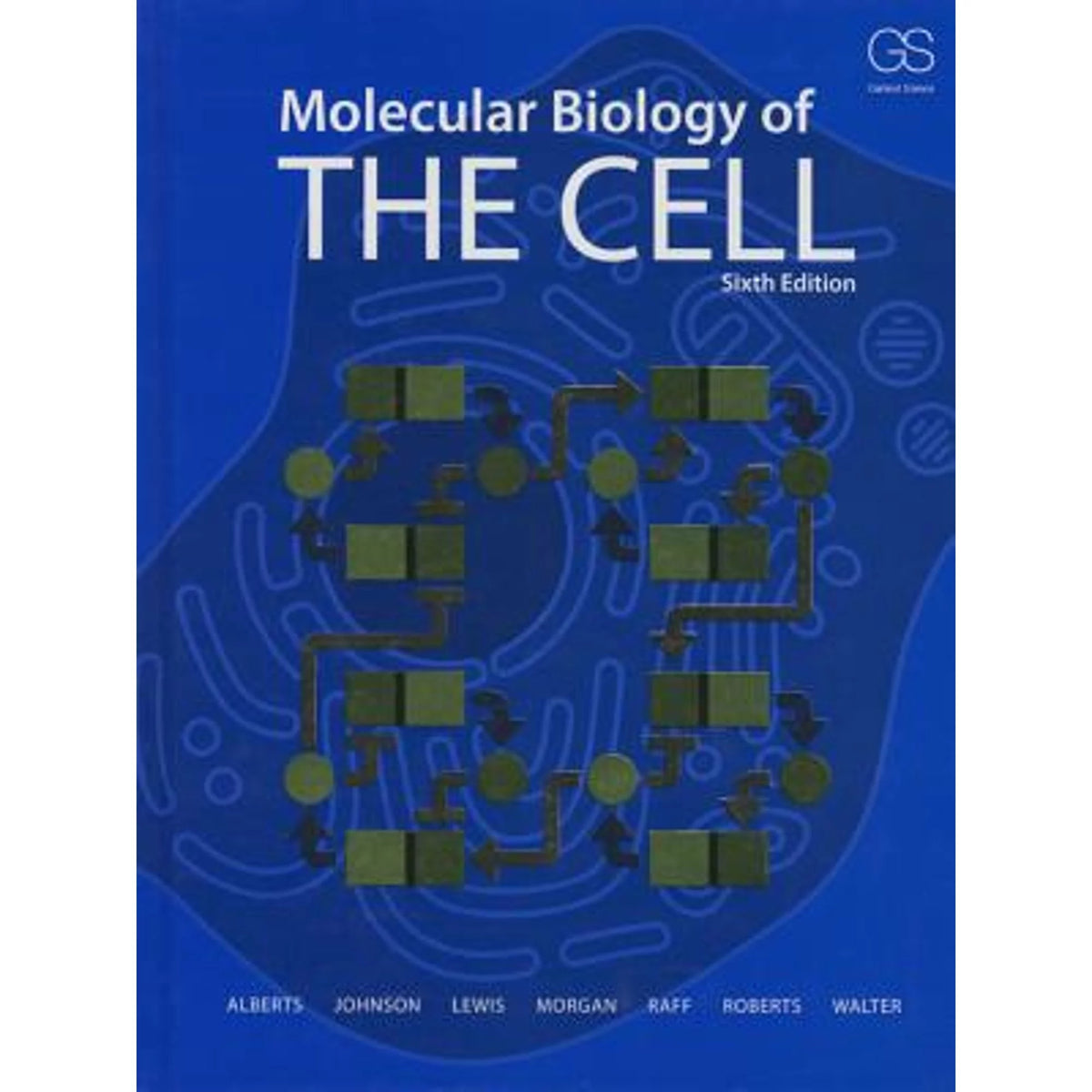 Molecular Biology of the Cell Hardcover G549366