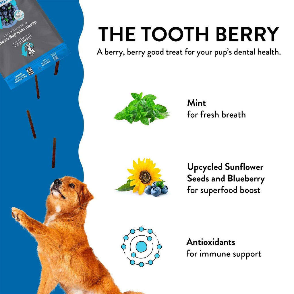 Dental Stick Dog Treats T19615