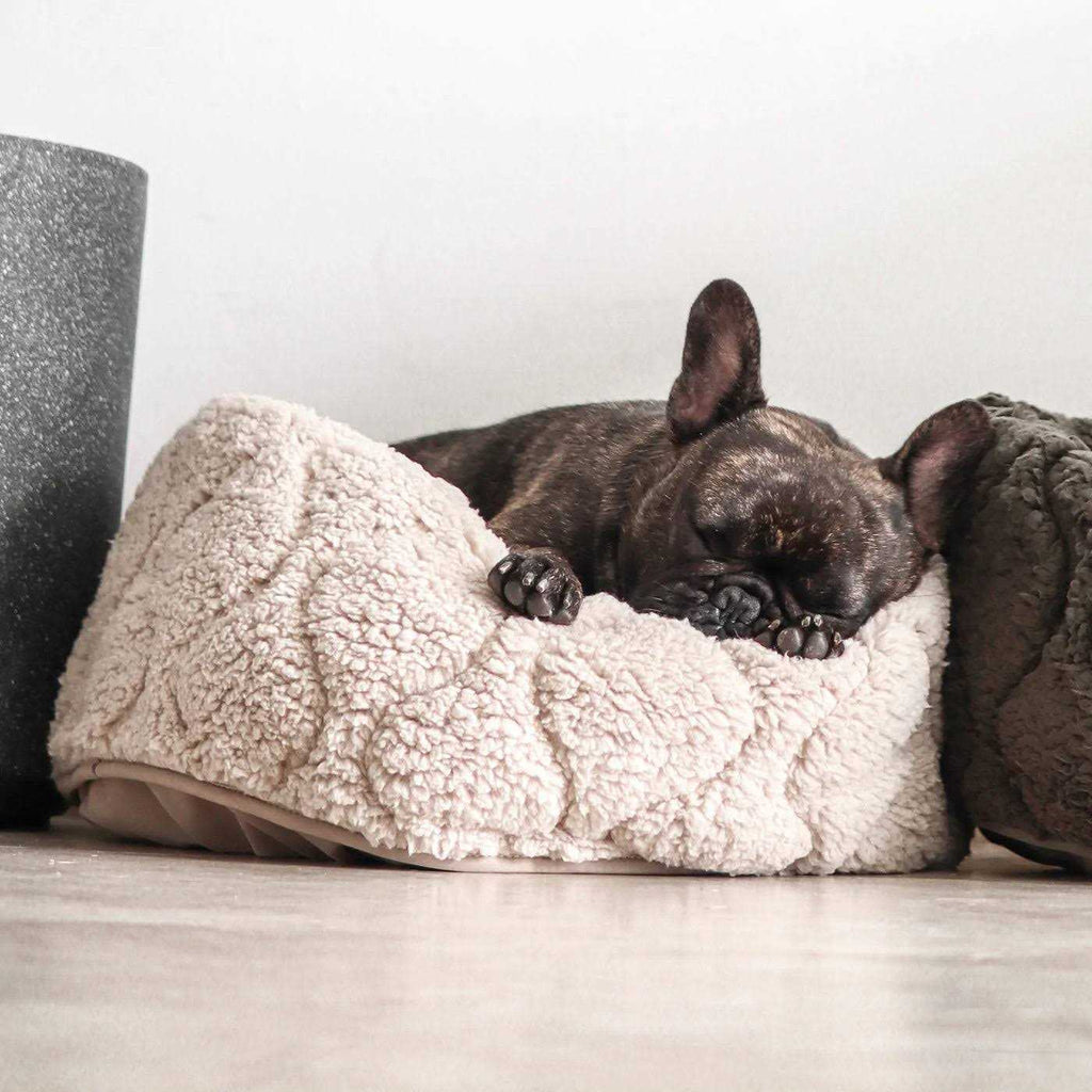 Reversible Donut Pet Bed F82733