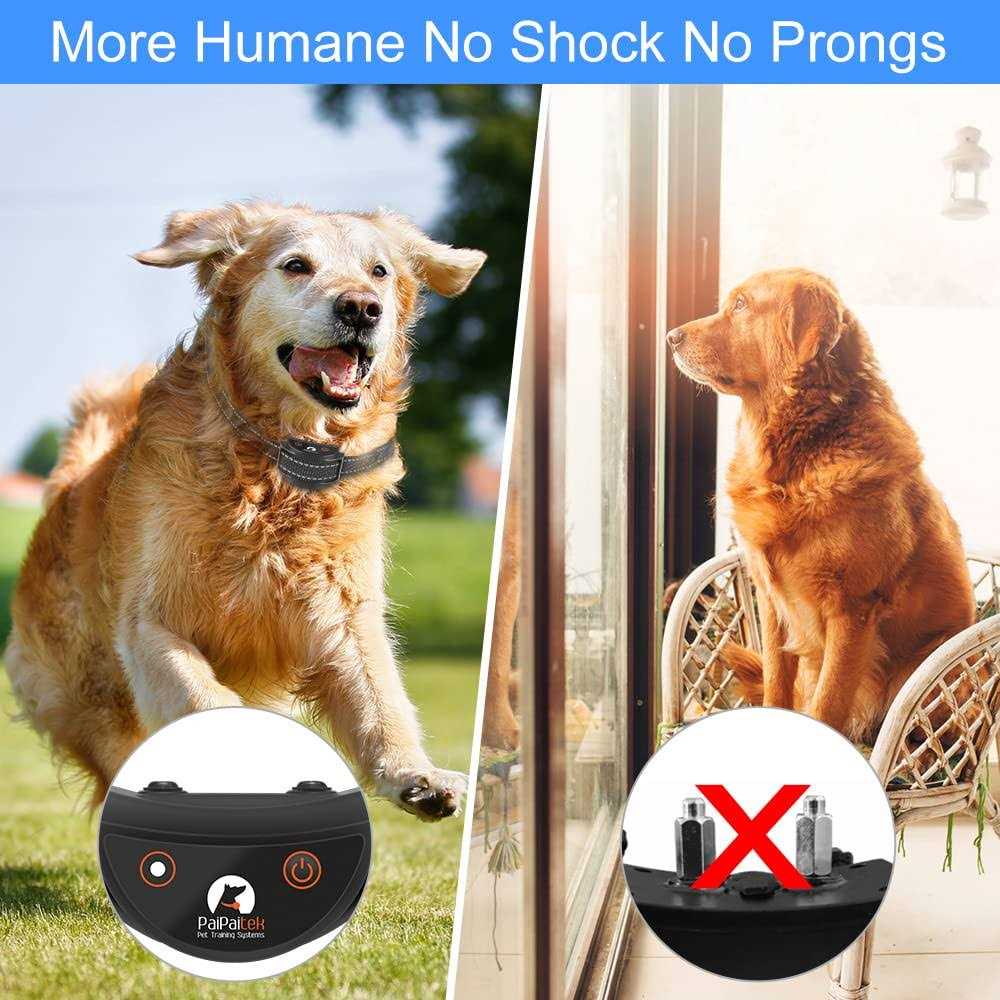 Dog Training Collar with Remote S492