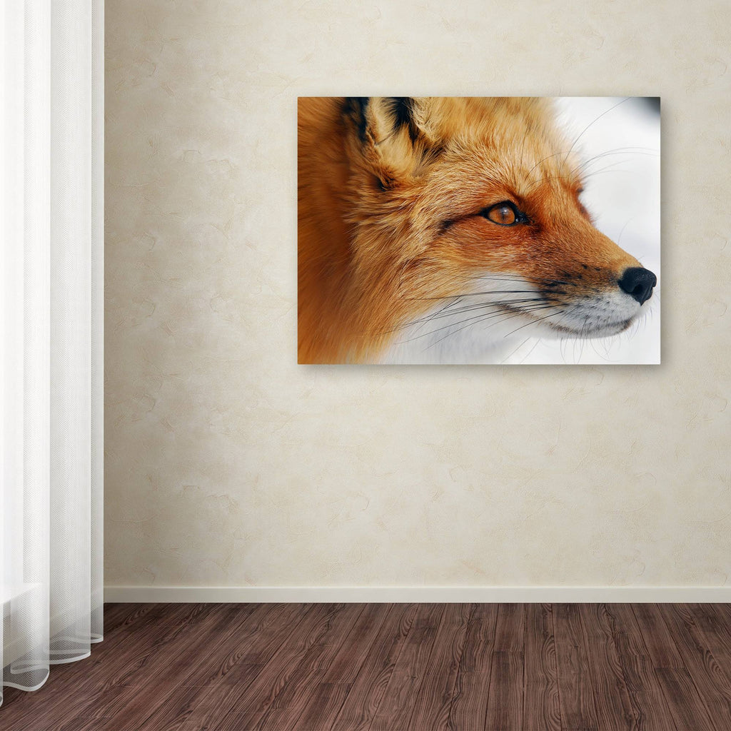 Canvas Art Y9193