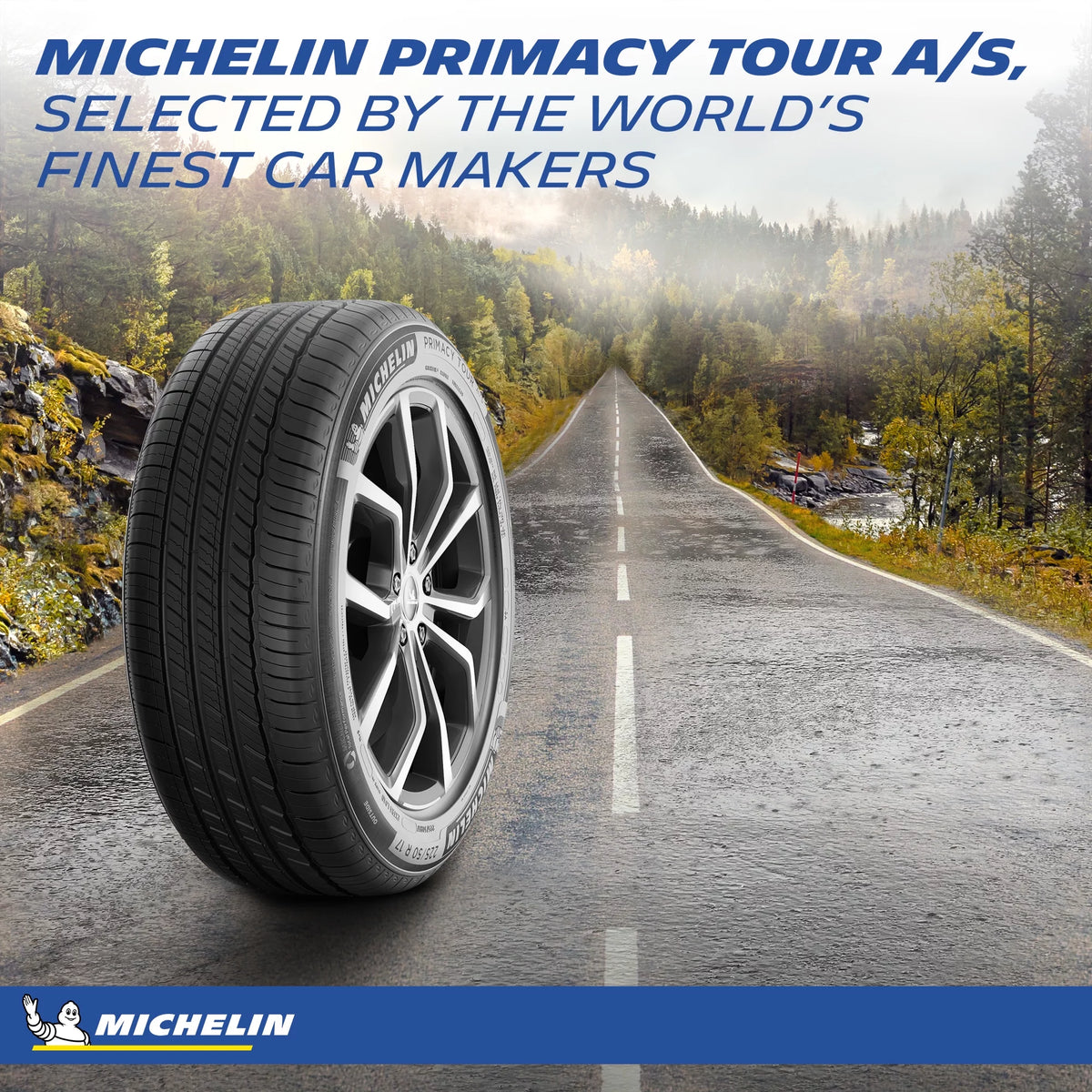 All Season 225/65R17 102H D866053