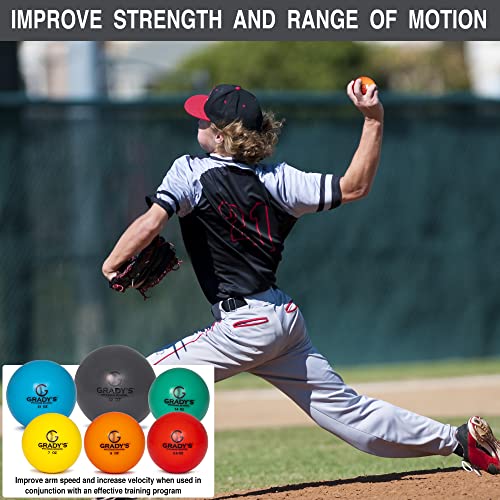 Weighted Training Ball Set with Carrying Case Q46543