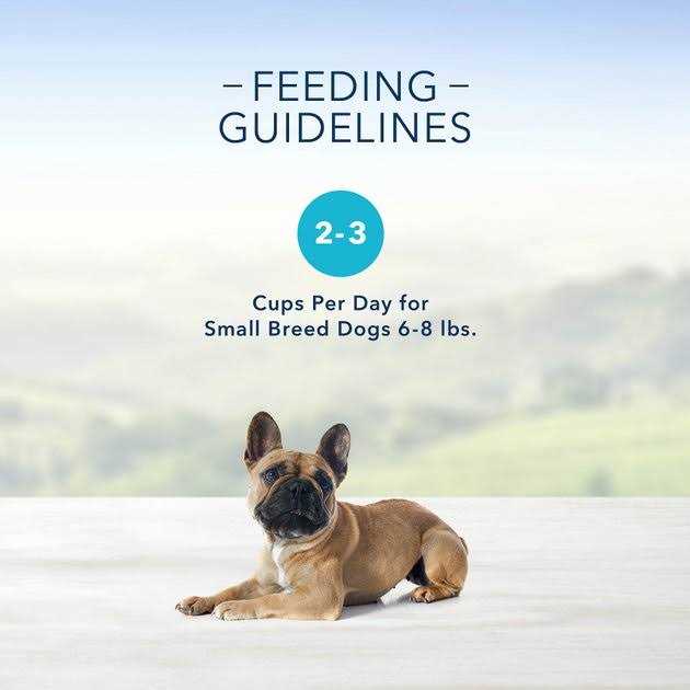 Rotisserie Chicken in Gravy Dog Food Cup 3.5-oz R8191