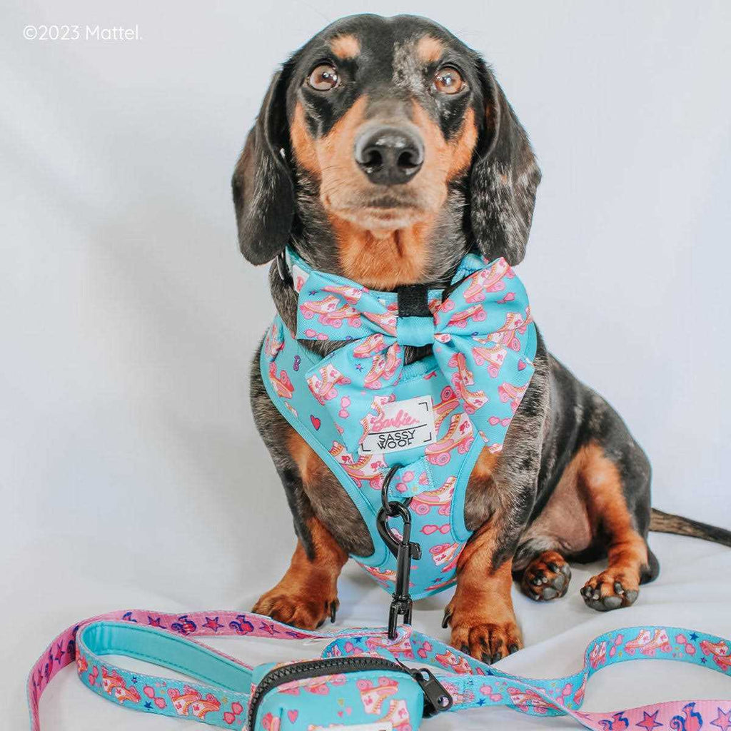 Dog Collar Z150259