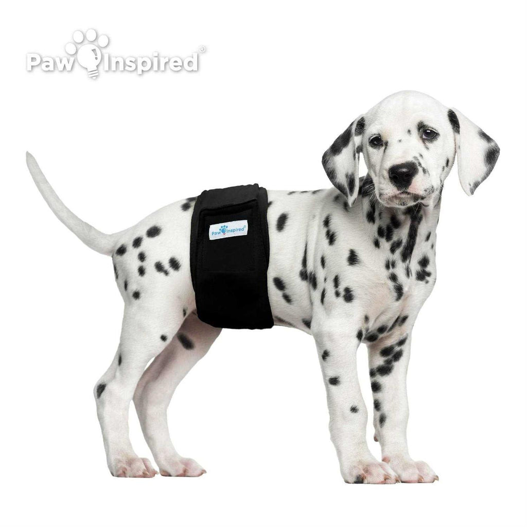 Male Dog Wraps Washable Belly Band C172