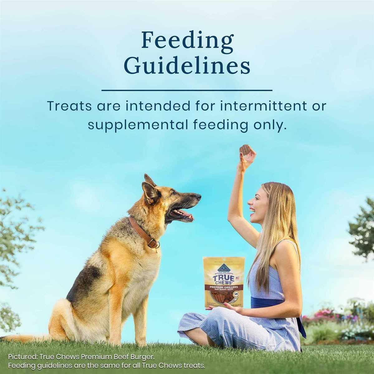 Chicken Natural Dog Treats K85596