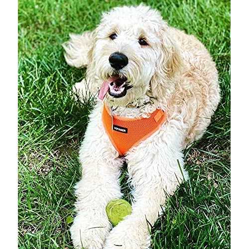 All Weather Mesh Adjustable Step-in Pet Harness Y710