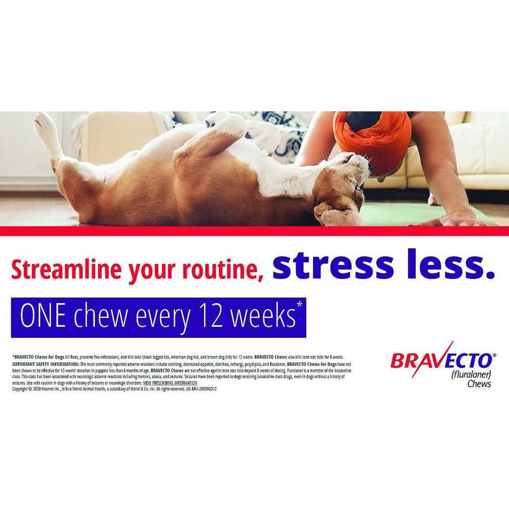 Bravecto Chews for Dogs D1469