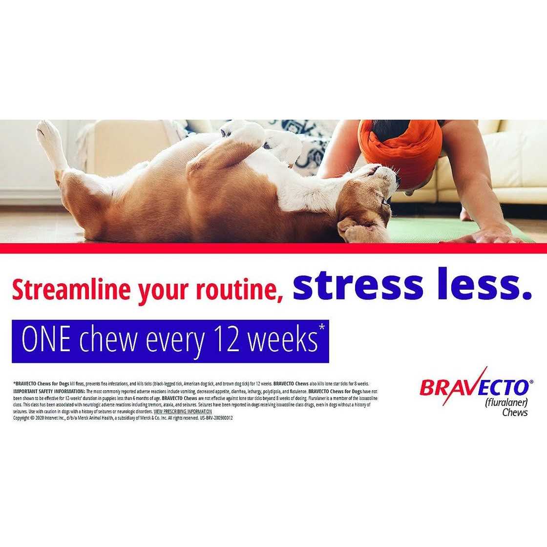 Bravecto Chews for Dogs D1469