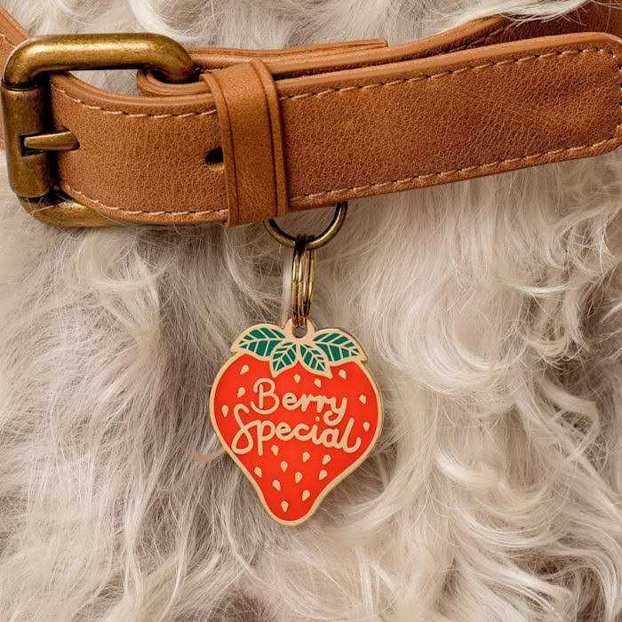 Berry Special Pet ID Tag U25009