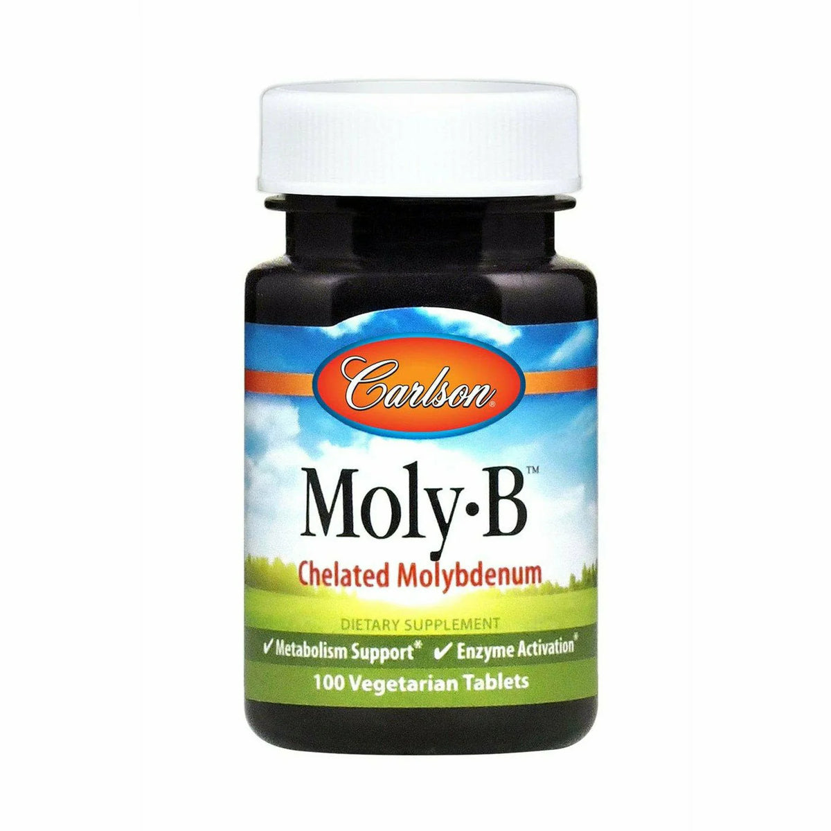 500 mcg 100 tabs R978409