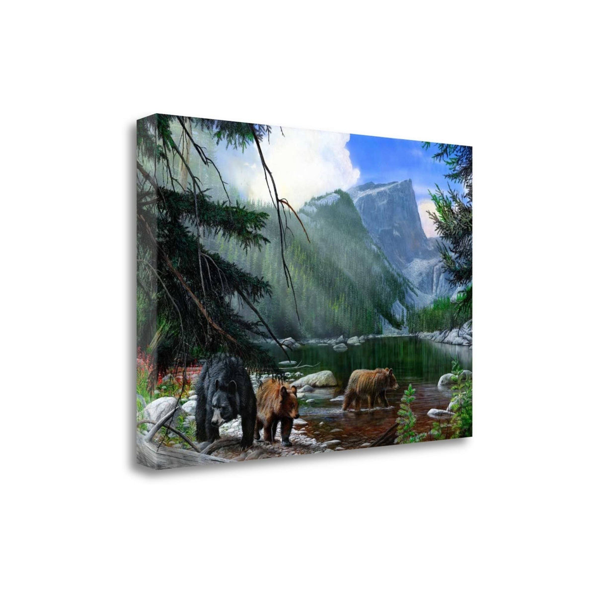 Giclee on Gallery Wrap Canvas A770