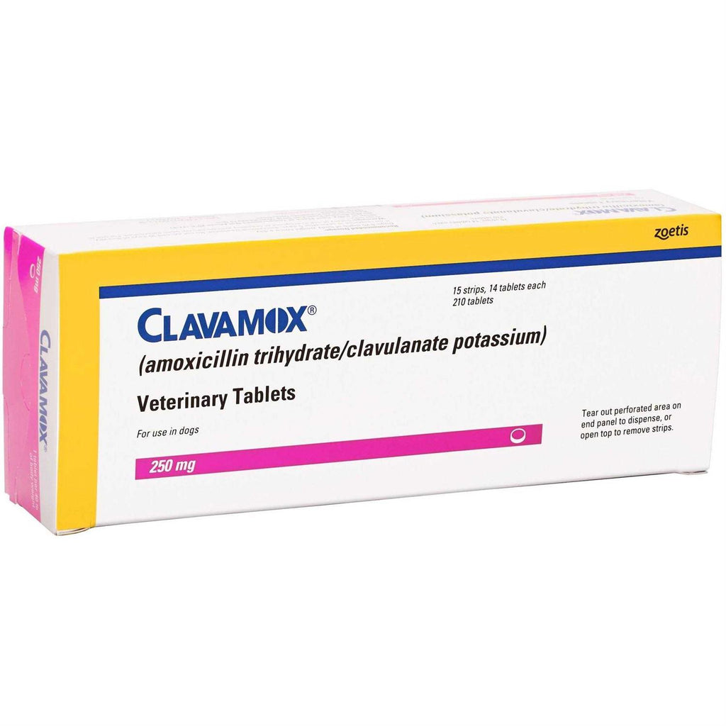 Chewable Pet Supplies T4684