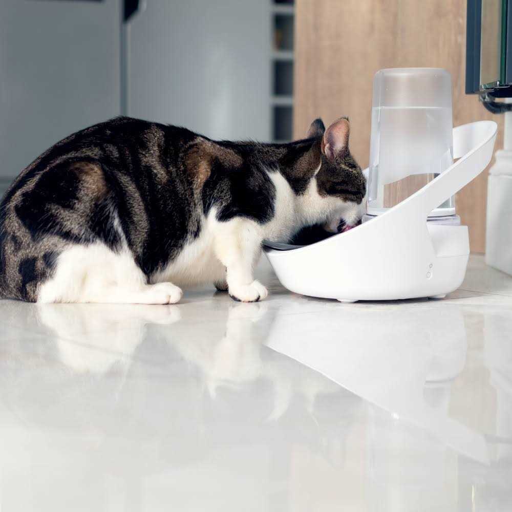 Felaqua Connect Pet Supplies C430