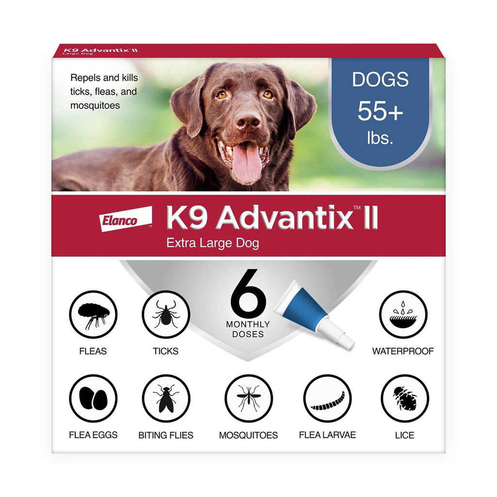 Extra Large Dogs Pet Supplies O28645