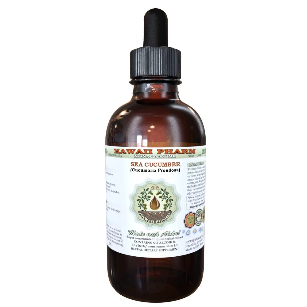 2 oz Sea Cucumber Glycerite Herbal Supplement X633980