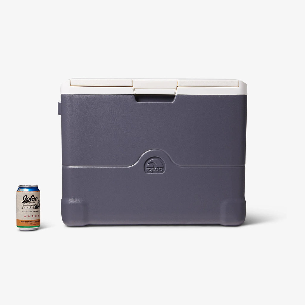 Portable Electric 40 Qt Cooler B5638