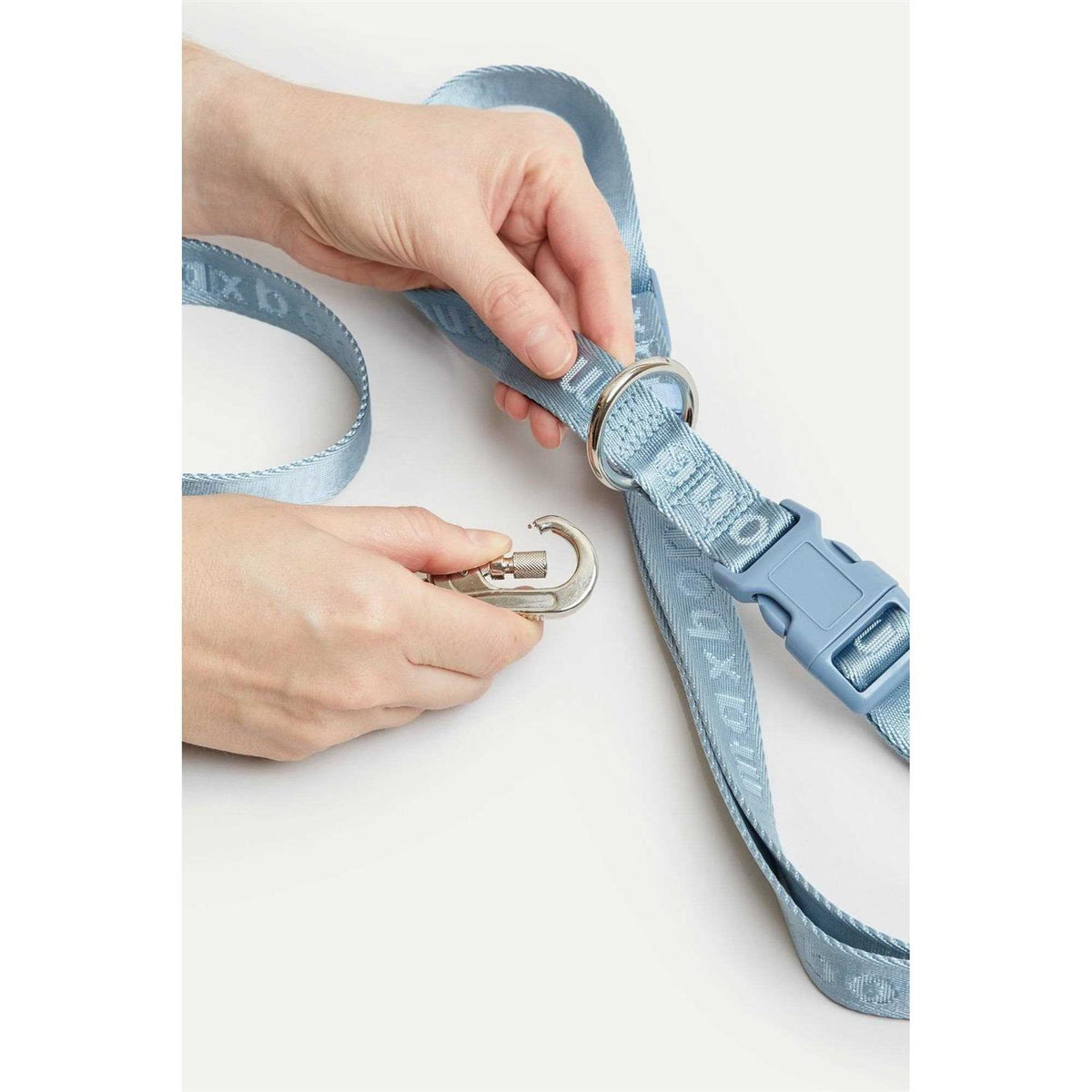 Hands Free Leash T3235