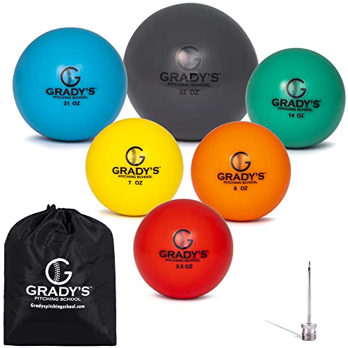 Weighted Training Ball Set with Carrying Case Q46543