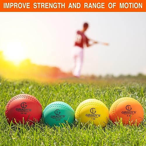 Weighted Training Ball Set with Carrying Case Q46543