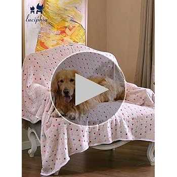 3 Flannel Pet Blanket Q194