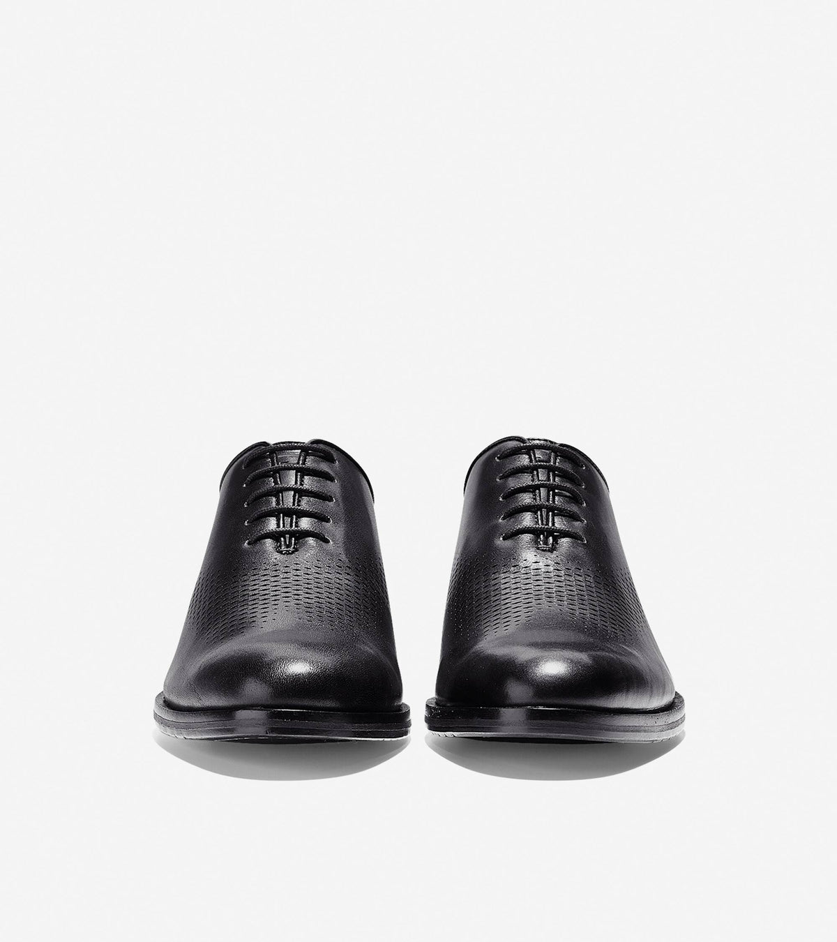 Black Wing Oxford B865
