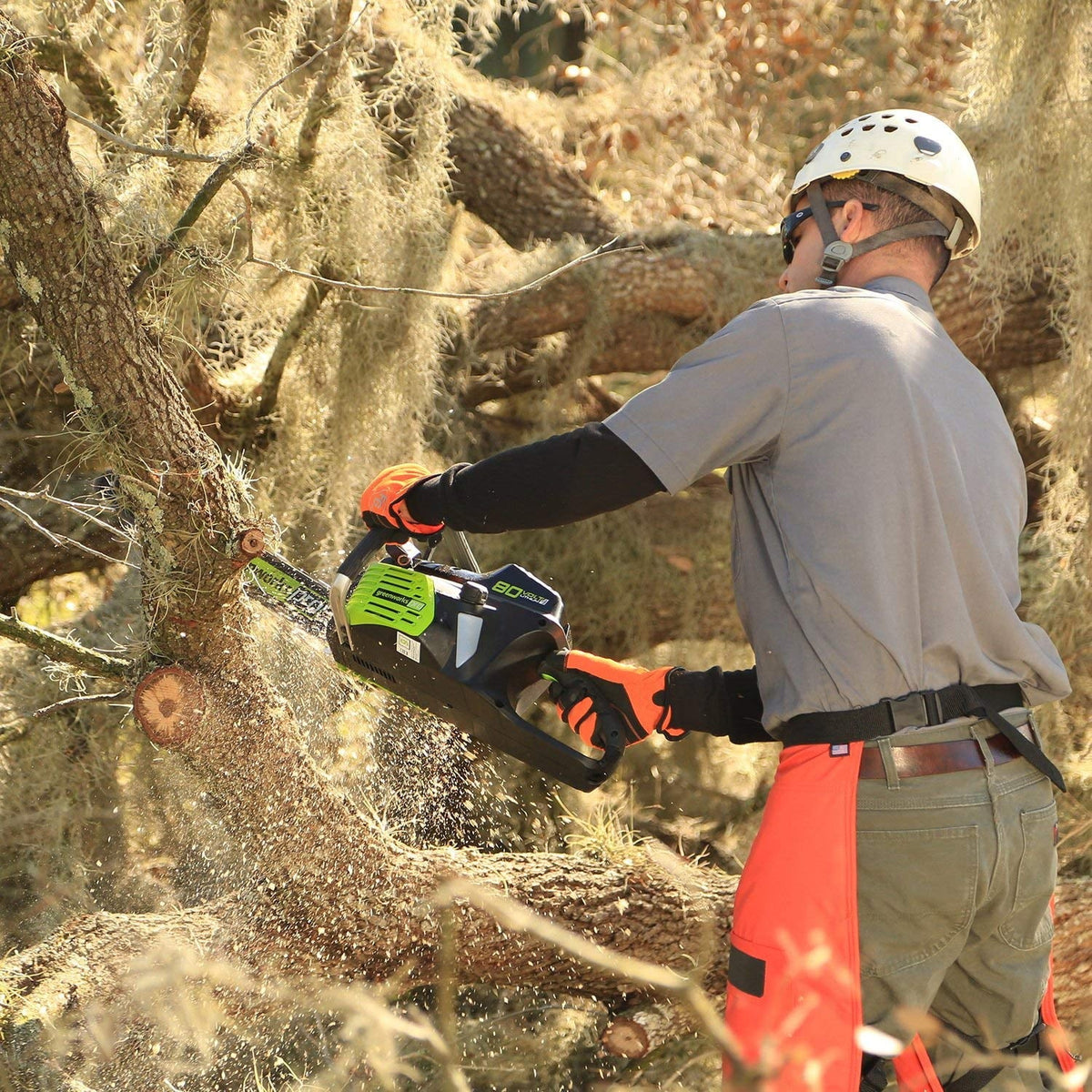 18-Inch 80V Cordless Lithium-Ion Chainsaw H6602