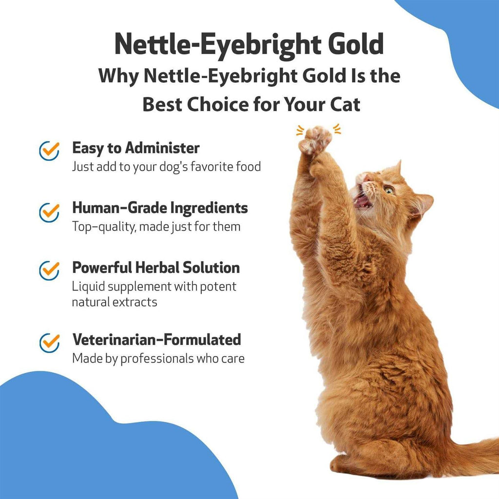 Nettle Eyebright for Dogs T56772
