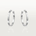 Earrings A29781