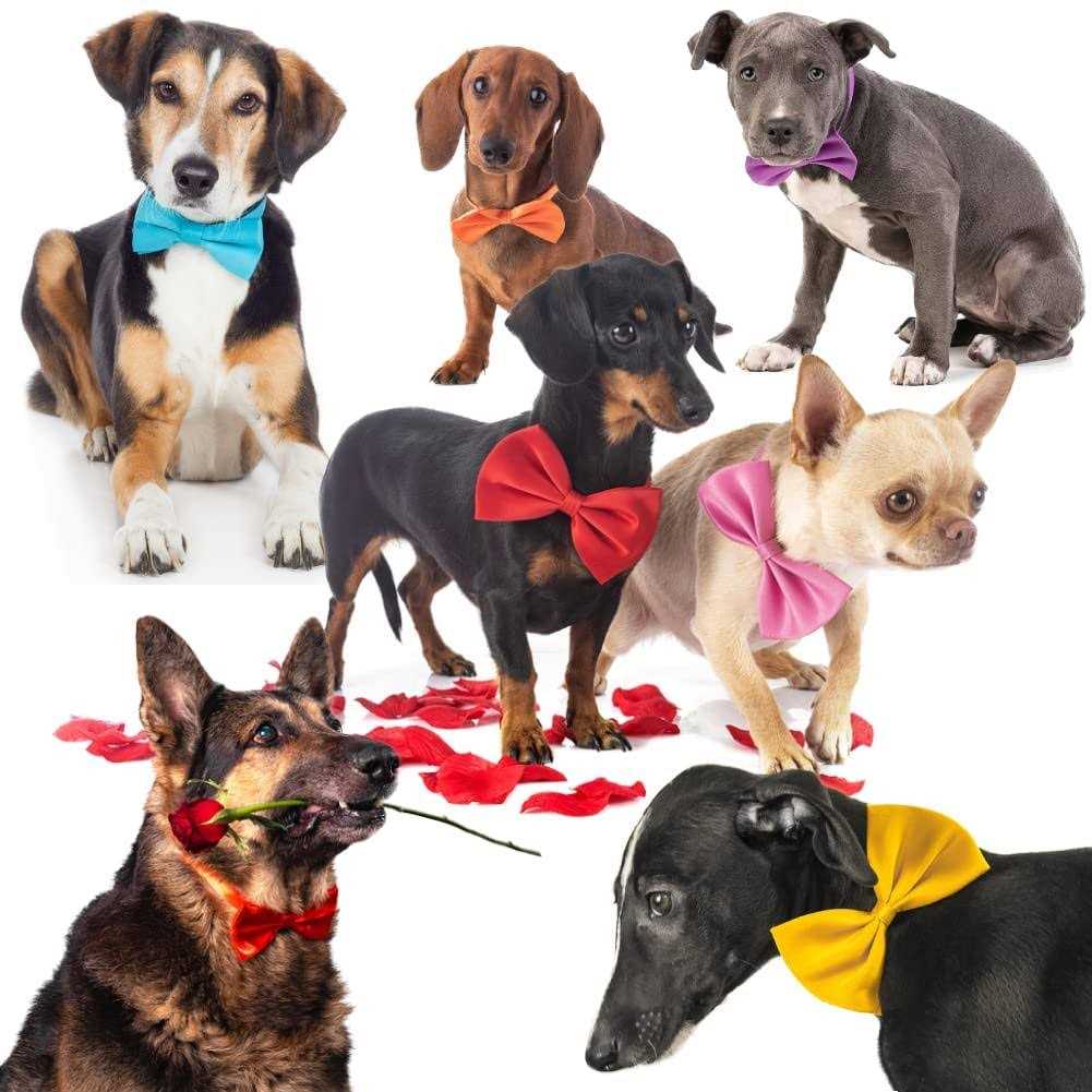 50Pcs Dog Bow Ties with Adjustable Collar I76254