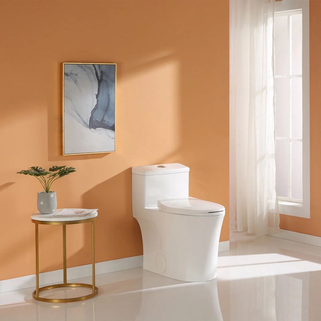 Elongated Dual Flush One Piece Toilet O8138