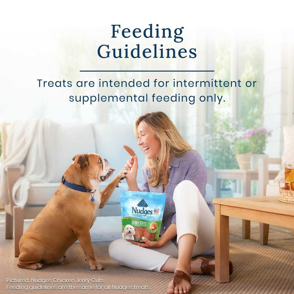 Dog Treats Jerky Cuts H841639