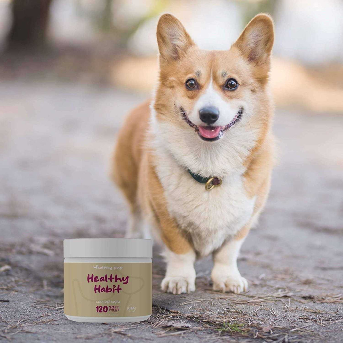 Coprophagia Supplement for Dogs V717349