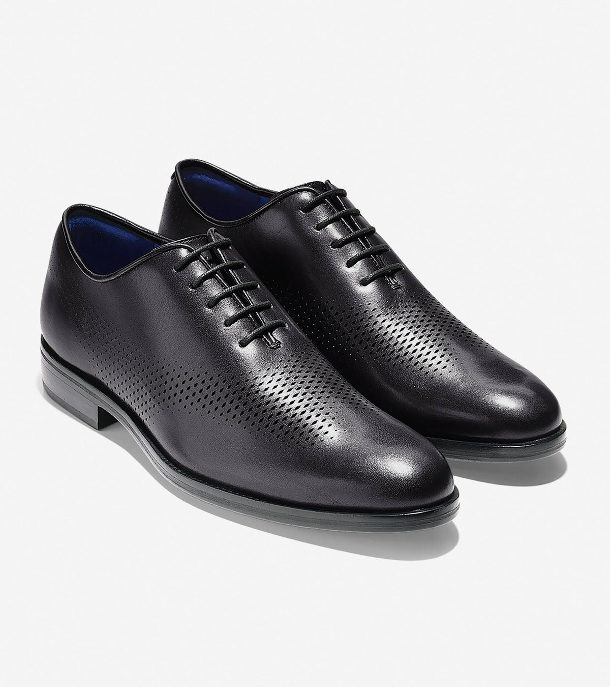 Black Wing Oxford B865