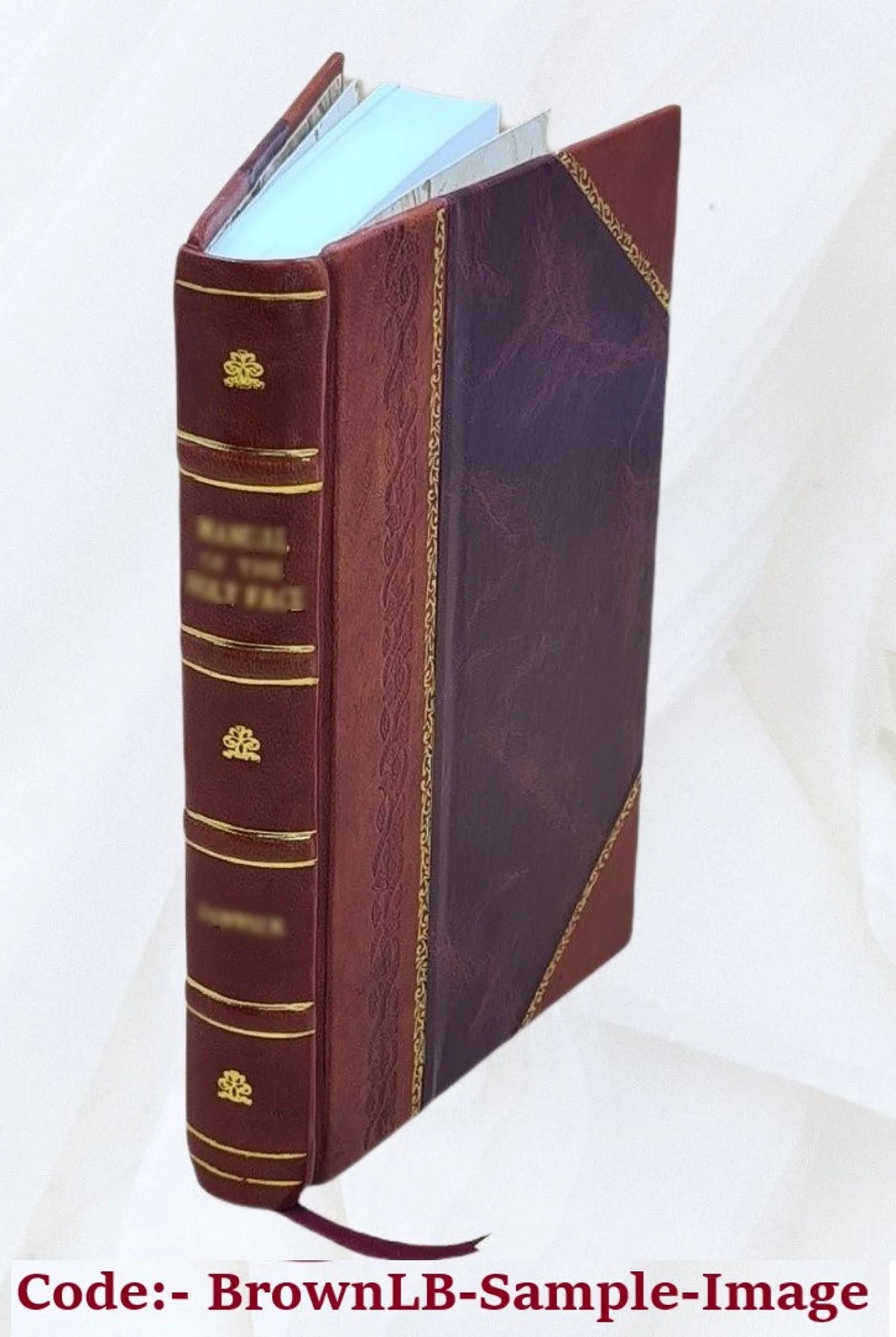 Guide pratique des villes d'eaux 1910 Leather Bound O694