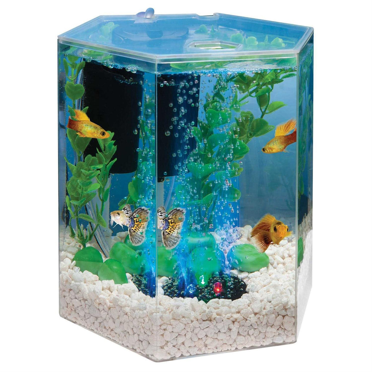 Pet Supplies X4960